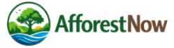 afforestnow